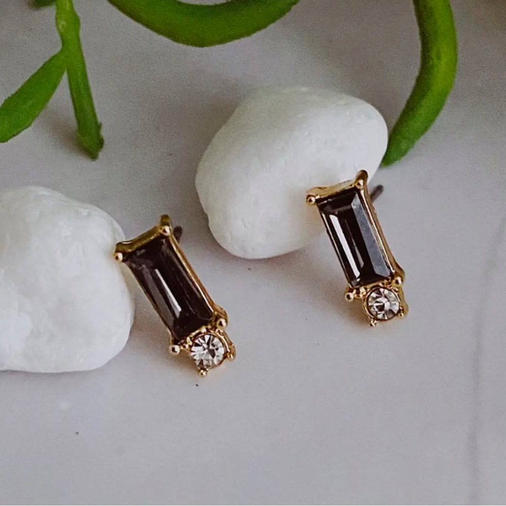 Elegant Gold and Black Earrings